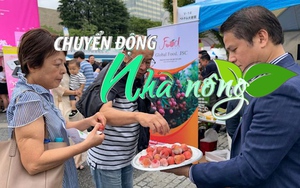 Chuyển động Nhà nông 13/7: Vải thiều Việt Nam “hút” khách hàng ở nhiều thị trường thế giới với giá cao