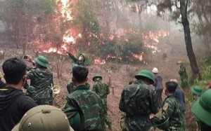 Cháy rừng thông diện rộng tại Nam Đàn, Nghệ An: Huy động khoảng 3.000 người dập lửa, đám cháy được khống chế