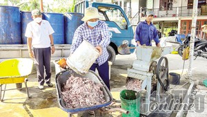 Nuôi 2 loài cá với sáng kiến xử lý nước thải, ông nông dân Kiên Giang giàu lên, lãi hơn 1 tỷ đồng/năm