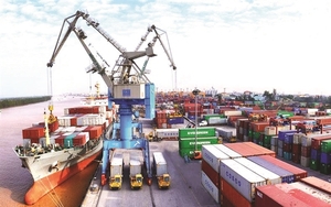 Container Việt Nam (VSC) chuẩn bị tăng vốn điều lệ lên hơn 2.500 tỷ đồng