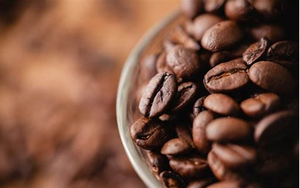 Giá cà phê hai sàn hồi phục, cà phê trong nước quay đầu tăng 300 đồng/kg