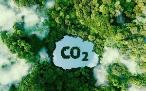 Đến năm 2028 sẽ vận hành chính thức sàn giao dịch tín chỉ carbon