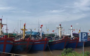 Tránh trú bão số 1-bão Talim, tỉnh Nam Định kêu gọi tàu thuyền vào bờ