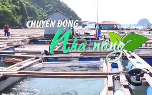 Chuyển động Nhà nông 17/7: Khẩn trương sơ tán người dân, gia cố lồng bè trước khi bão số 1 tiến vào