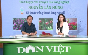 GÓC CHUYÊN GIA: Cách trồng thanh long ruột đỏ, ý kiến từ chuyên gia