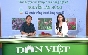 GÓC CHUYÊN GIA: Cây giống sẽ quyết định chất lượng của cây thanh long trưởng thành