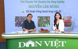 GÓC CHUYÊN GIA: Phòng chống một số bệnh trên cây thanh long như thế nào và lời giải đáp của chuyên gia