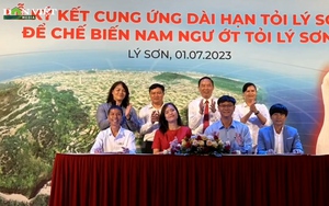 Nam Ngư đồng hành cùng người nông dân nâng tầm đặc sản "Tỏi Lý Sơn", phát triển kinh tế địa phương - Ảnh 8.