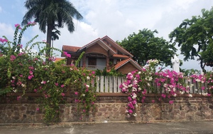 Nông thôn mới một thôn Công giáo toàn tòng ở Hà Nội (Bài 1): Đường làng rộng, cổng hoa giấy đẹp như mơ