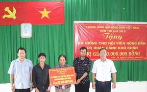 Trung ương Hội Nông dân Việt Nam tặng bò sinh sản cho nông dân nghèo ở Bình Thuận