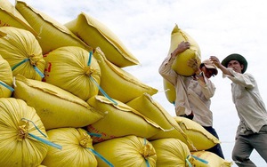 Toàn cầu lên cơn sốt, giá một loại hạt của Việt Nam tăng cao nhất trong 10 năm