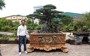 Nông thôn mới một thôn Công giáo toàn tòng ở Hà Nội (Bài 2): Làng của những đại gia tiền tỷ trồng cây cảnh