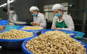 Doanh nghiệp Việt nghi bị lừa 2 container điều xuất sang UAE, Bộ Công Thương vào cuộc