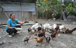 Phát huy vai trò của Hội Nông dân Kiên Giang tham gia thực hiện mục tiêu giảm nghèo bền vững