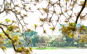 Ký ức Hà Nội: Mối tình đầu khó quên tại Thủ đô yêu dấu