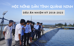 Chủ tịch Hội Nông dân tỉnh Quảng Ninh: Khẳng định vị thế vững chắc của Hội, cổ vũ nông dân hăng hái sản xuất