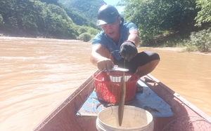 Một dòng sông chảy từ đất Lào vào Nghệ An, dân đi câu loài cá gì mà ví như &quot;đi săn thủy quái&quot;?