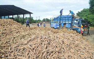Bán niên 2023 Nông sản Thực phẩm Quảng Ngãi (APF) lãi hơn 100 tỷ đồng, tài sản 