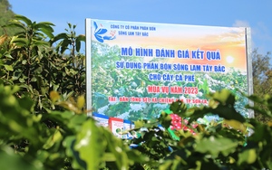 Phân bón Sông Lam Tây Bắc đồng hành cùng nông dân làm giàu