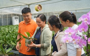 Hà Nội xuất hiện nhiều mô hình nông nghiệp thu tiền tỷ từ chính sách thúc đẩy ứng dụng công nghệ cao 