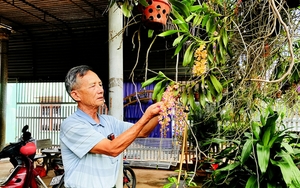 Người Thái Bình "gánh" theo tên làng, tên xã khi di dân vào Đắk Lắk, nay là một vùng trù phú, đang giàu lên