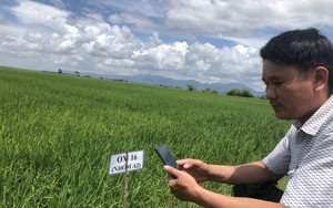 Bình Thuận: Trải "chiếu hoa" mời doanh nghiệp đầu tư vào nông nghiệp, liên kết tiêu thụ sản phẩm của nông dân