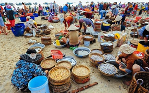 Các loại cá, tôm, cua, mực, ghẹ,...tươi roi rói ở chợ cá lớn nhất Quảng Nam lúc sáng sớm