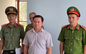 TT-Huế: Vì sao Giám đốc Ban Quản lý rừng phòng hộ Hương Thủy bị bắt? 