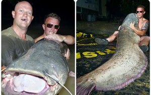 Thu phục "quái vật" cá trê nặng hơn 110kg và dài hơn 2m, nhiều người ùn ùn kéo tới xem