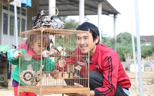 Một anh trai làng ở Quảng Trị nuôi thứ chim gì bé hơn nắm tay mà nổi tiếng hẳn lên?
