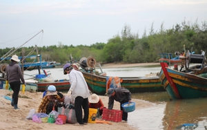 Lội sông ra biển gặp làng chài ở Bình Thuận, thấy bán hải sản tươi rói, trẻ con mê ăn chem chép xào tỏi