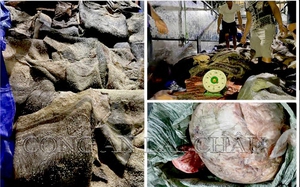 Lai Châu: Bắt giữ, tiêu hủy hơn 3 tấn thực phẩm động vật bốc mùi hôi thối