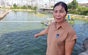 Nuôi cá, tung thức ăn thấy bơi rào rào, bắt hàng tấn, một chi hội trưởng nông dân ở Ninh Bình khá giả