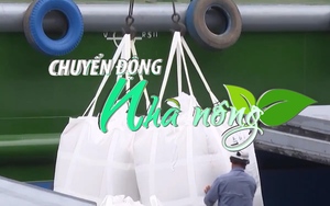 Chuyển động Nhà nông 4/7: Thủ tướng chỉ đạo các giải pháp thúc đẩy sản xuất, xuất khẩu gạo