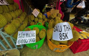 Việt Nam, Thái Lan so kè bán sầu riêng sang Trung Quốc