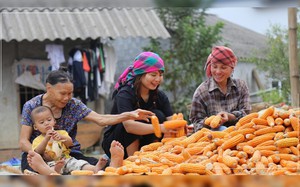 Khởi nghiệp kinh doanh, quảng bá nông sản trên nền tảng số-niềm tin, nghị lực tạo thành công