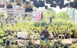 Cầm bằng đại học vào Gia Lai, anh kỹ sư trồng cây cảnh, trồng hoa giấy đẹp như mơ, thành nông dân giỏi