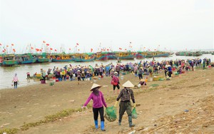 Tấp nập chợ cá Giao Hải ở Nam Định, thuyền vừa cập bến, thương lái đã tranh nhau mua 