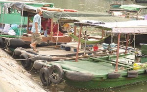 Cấm neo đậu tàu thuyền ven bờ vịnh Hạ Long từ ngày 1/8