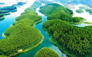 Ở Phú Thọ có một đầm nước rộng 410ha cách Hà Nội không xa, có 41 hòn đảo tựa như vịnh Hạ Long