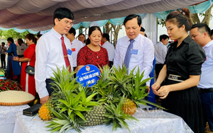 Chủ tịch Hội Nông dân tỉnh Phú Thọ: Mọi công tác đã sẵn sàng cho Đại hội Hội Nông dân tỉnh lần thứ X