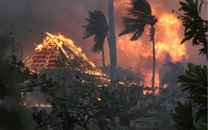 36 người chết trong trận cháy rừng &quot;như phim kinh dị&quot; ở Hawaii