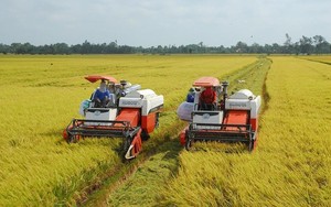 Xuất khẩu 7 triệu tấn gạo trong năm 2023
