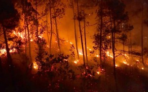 Thừa Thiên Huế nhìn thẳng những hạn chế, thiếu sót sau 6 vụ cháy rừng liên tiếp