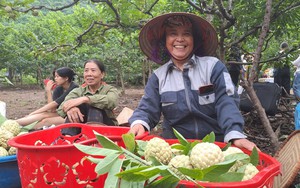 Hàng trăm tấn nông sản được tiêu thụ tại lễ hội kết nối tiêu thụ quả na, nông sản Thái Nguyên 2023
