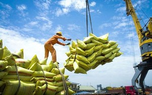 Philippines đang đàm phán với Việt Nam và Ấn Độ để nhập khẩu gạo
