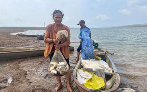 Một hồ nước mênh mông ở Kon Tum, dân bắt vô số loại cá đặc sản gì mà thương lái mua hết sạch?