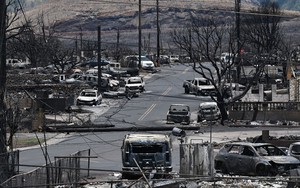 Cháy rừng ở Hawaii: Những hình ảnh khiến người Mỹ rùng mình