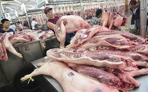 Sàn giao dịch thịt heo tại TP.HCM sẽ mua bán thế nào?
