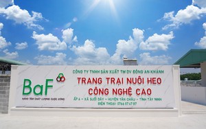 BAF Việt Nam (BAF) phê duyệt khoản vay 500 tỷ đồng 